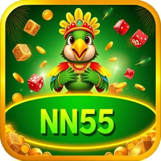 nn55.com